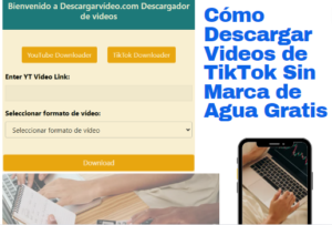 Descargar Videos de TikTok